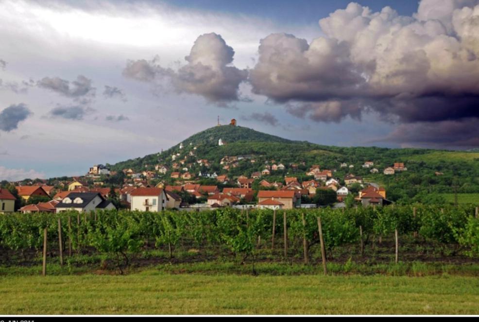 Ferienwohnung B&R Apartmans Vrsac Exterior foto